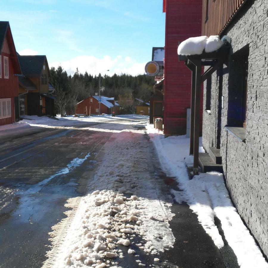 Apartman Eskadra 02 Horní Malá Úpa エクステリア 写真