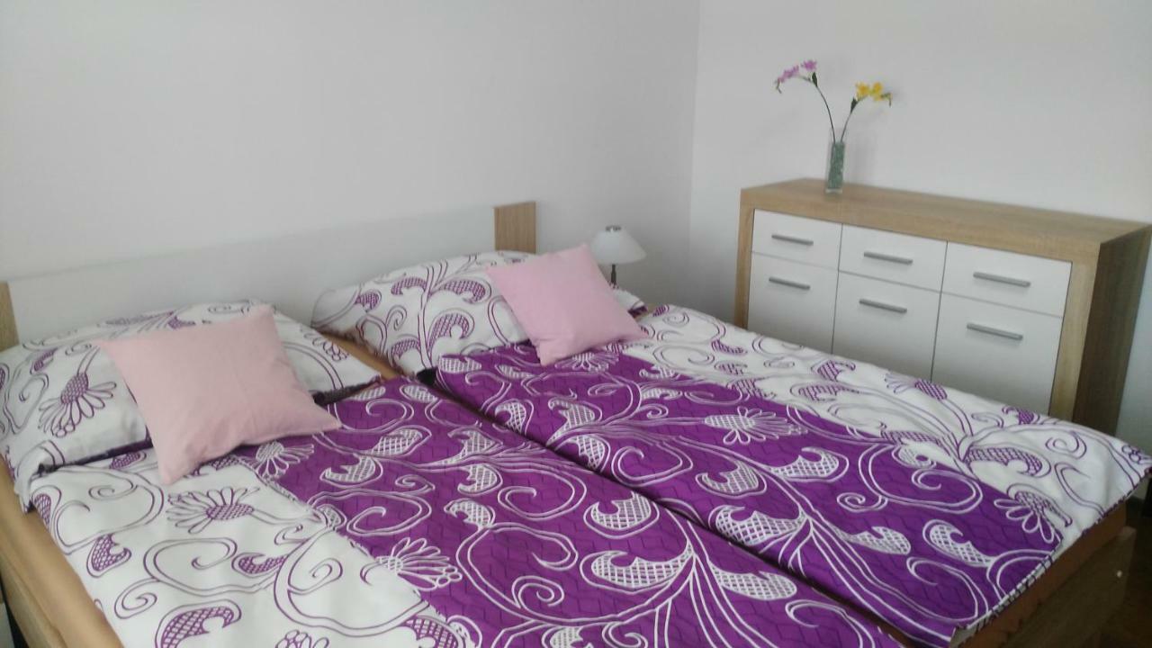 Apartman Eskadra 02 Horní Malá Úpa エクステリア 写真